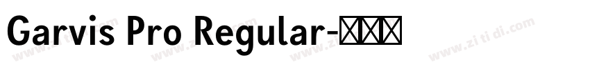Garvis Pro Regular字体转换